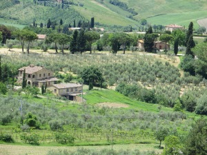 Val d'Orcia - who could ever tire of this view?