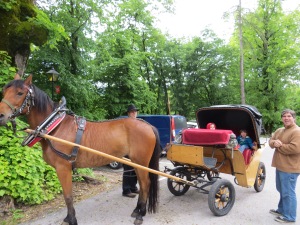 And just when thought the rain was done, it started again - good thing our carriage to the castle had a cover!